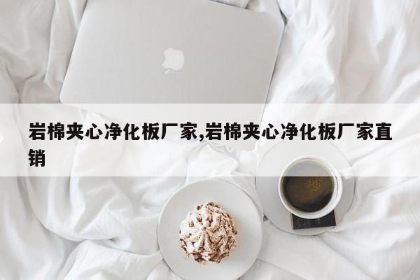 岩棉夹心净化板厂家,岩棉夹心净化板厂家直销