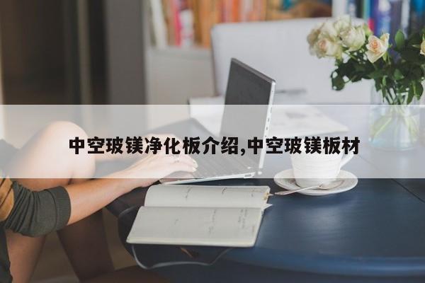 中空玻镁净化板介绍,中空玻镁板材