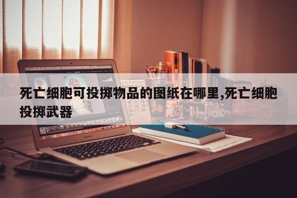 死亡细胞可投掷物品的图纸在哪里,死亡细胞投掷武器