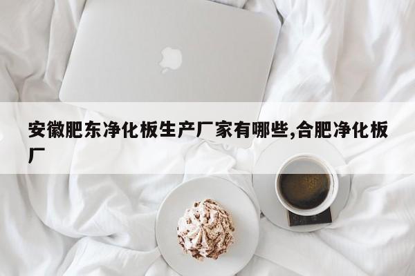 安徽肥东净化板生产厂家有哪些,合肥净化板厂