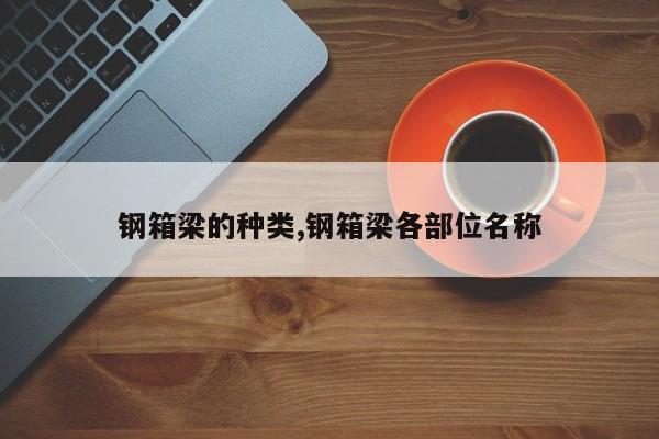 钢箱梁的种类,钢箱梁各部位名称