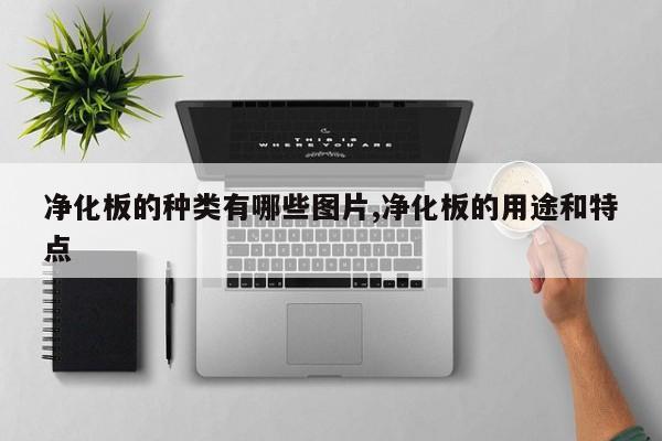 净化板的种类有哪些图片,净化板的用途和特点