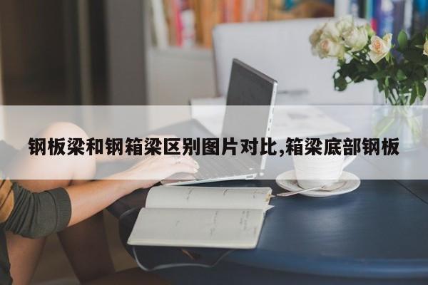 钢板梁和钢箱梁区别图片对比,箱梁底部钢板