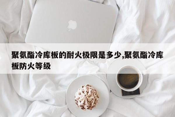 聚氨酯冷库板的耐火极限是多少,聚氨酯冷库板防火等级