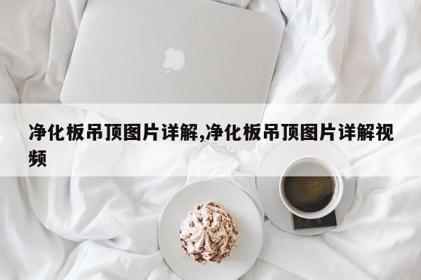 净化板吊顶图片详解,净化板吊顶图片详解视频