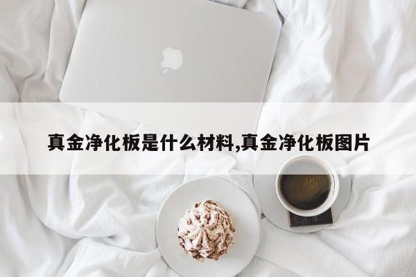 真金净化板是什么材料,真金净化板图片