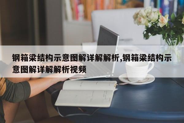钢箱梁结构示意图解详解解析,钢箱梁结构示意图解详解解析视频