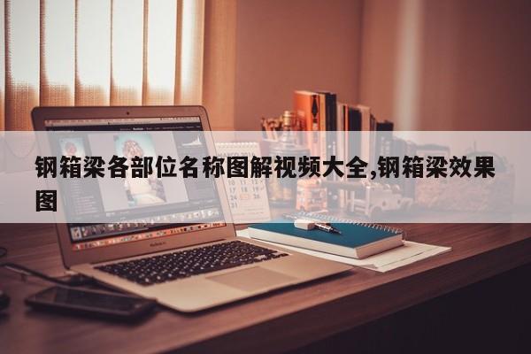 钢箱梁各部位名称图解视频大全,钢箱梁效果图