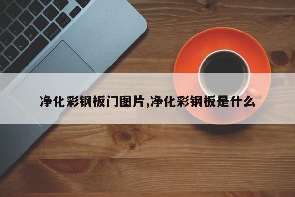 净化彩钢板门图片,净化彩钢板是什么