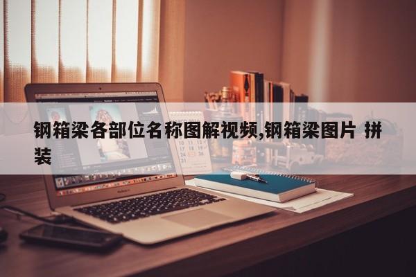 钢箱梁各部位名称图解视频,钢箱梁图片 拼装