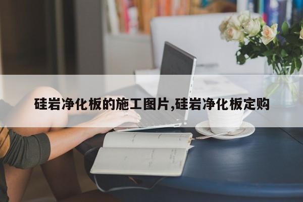 硅岩净化板的施工图片,硅岩净化板定购