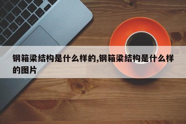 钢箱梁结构是什么样的,钢箱梁结构是什么样的图片
