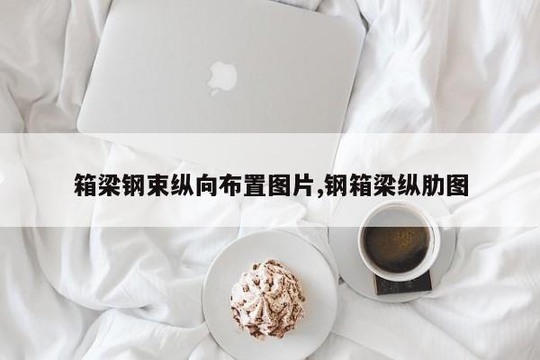 箱梁钢束纵向布置图片,钢箱梁纵肋图