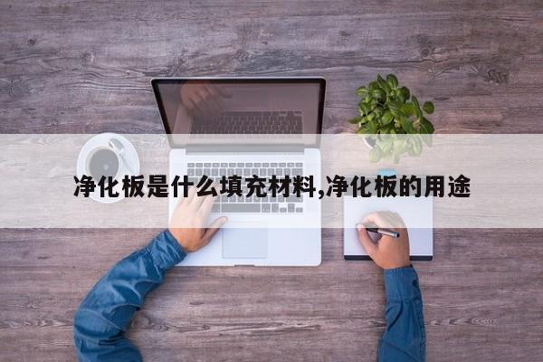 净化板是什么填充材料,净化板的用途