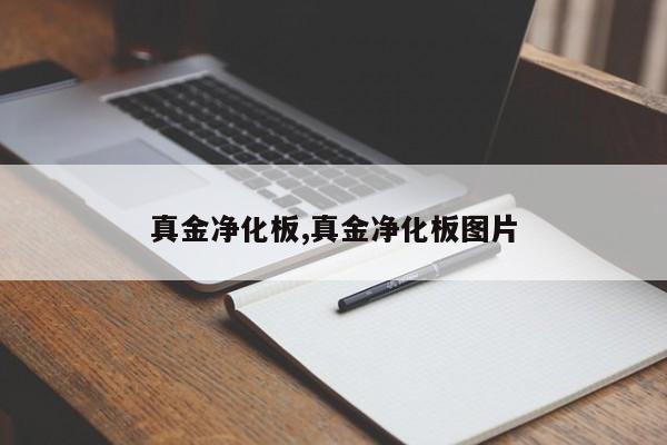 真金净化板,真金净化板图片