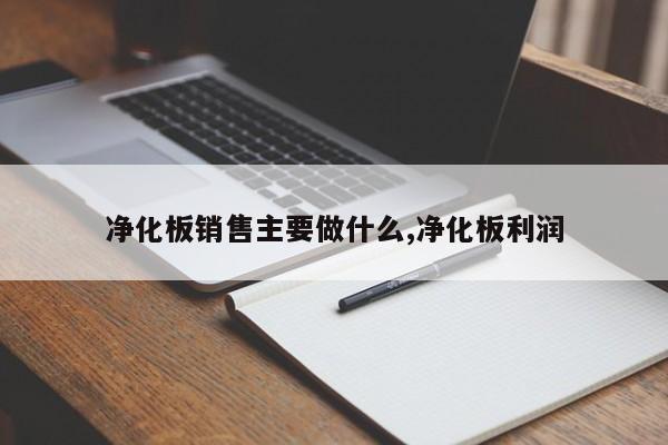 净化板销售主要做什么,净化板利润