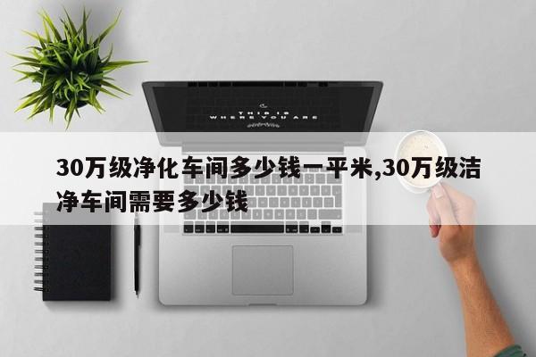 30万级净化车间多少钱一平米,30万级洁净车间需要多少钱