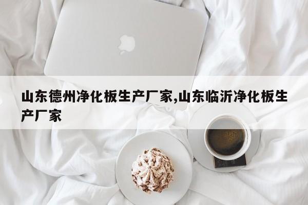 山东德州净化板生产厂家,山东临沂净化板生产厂家