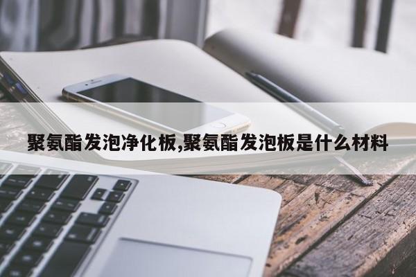 聚氨酯发泡净化板,聚氨酯发泡板是什么材料