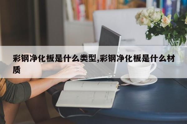 彩钢净化板是什么类型,彩钢净化板是什么材质