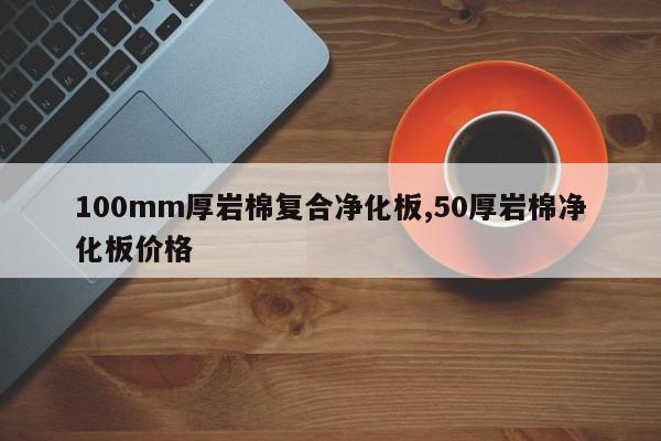 100mm厚岩棉复合净化板,50厚岩棉净化板价格
